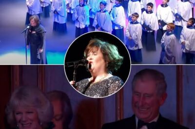Amidst the splendid lights of the Royal Palace, Susan Boyle sang “Perfect Day” with her powerful voice, turning the auditorium into a picture of nature filled with emotions. Her voice, like a gentle wind blowing through green fields, like a cool stream flowing through the hearts of every listener, made the entire auditorium silent and immersed in every note of music. Notably, in the audience, King Charles III and Queen Camilla also sat and watched live, witnessing the moment a singer who was once underestimated on Britain’s Got Talent now conquered the British Royal Family.