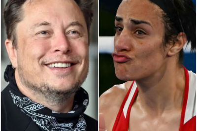 BREAKING: Elon Musk decides to withdraw support for WBO programs unless Imane Khelif’s medal and $25 million bonus are revoked
