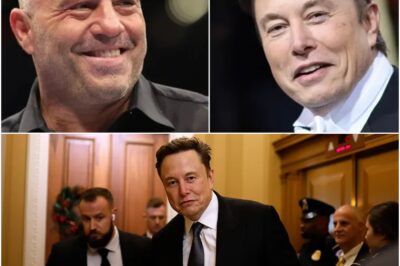 Joe Rogan says ‘nitwits’ in government ‘f—ed up’ by locking horns with Elon Musk