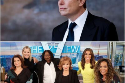 Elon Musk called for a boycott of The View, calling it “a meeting place for ignorant women.” Immediately after, the entire cast responded fiercely(DT)