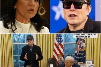 Alina Habba issues warning after Elon Musk’s email triggers meltdown
