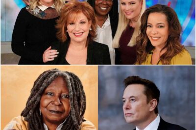 Elon Musk called for a boycott of The View, calling it “a meeting place for ignorant women.” Immediately after, the entire cast responded fiercely