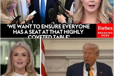 Karoline Leavitt: ‘Deranged’ Dems continue to deny reality