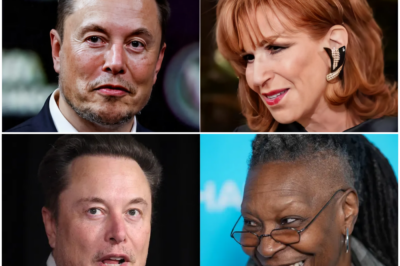 Elon Musk Acquires ‘The View’ For $900 Million To End The Toxic Show And Oust Whoopi Goldberg