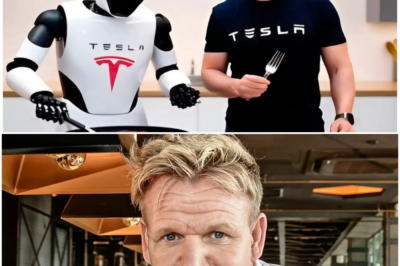 Elon Musk Shocking the World with a $5,000 Robot That Cooks Better Than Gordon Ramsay! Hidden function ahead of Time