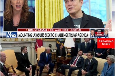 ‘JUST A D***’: Senator lashes out at Elon Musk