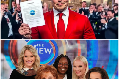 Elon Musk announced that he has acquired The V*ews for $900 million