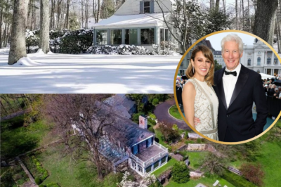 Richard Gere Sells Connecticut Home He Bought From Paul Simon for nearly $11 Million