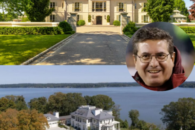 Inside Billionaire Dan Snyder’s $60M River View Estate: A Historic Marvel Near Washington, D.C.