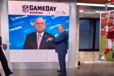 “I’ve Officially Seen It All”: Social Media Is Convinced The NFL Is Rigged & Everyone’s In On It After League Officiating Analyst Tried To Explain Sketchy Calls From Chiefs-Texans Game (VIDEO)