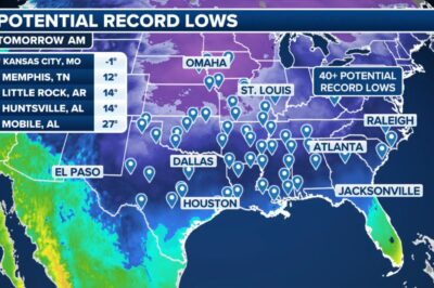 230M Americans are feeling the polar vortex as Arctic deep freeze engulfs US
