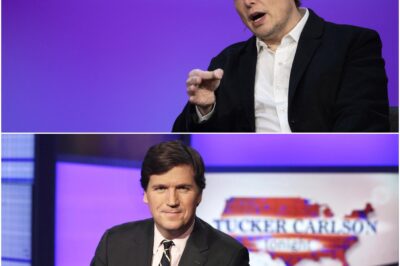 BREAKING NEWS Elon Musk Buys ABC & Appoints Tucker Carlson as CEO to End Woke Media