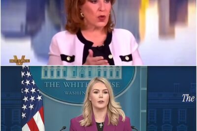 Karoline Leavitt stunned by The View host Joy Behar’s disturbing comments as she revealed why she was chosen, the biggest surprise has finally been confirmed-DT