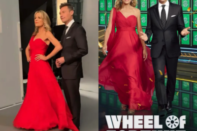 Wheel of Fortune Fans Furious Over New Season Access and Make Urgent Plea Before Premiere