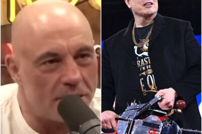 ‘SHEER MADNESS’: Elon Musk tells Joe Rogan about DOGE findings