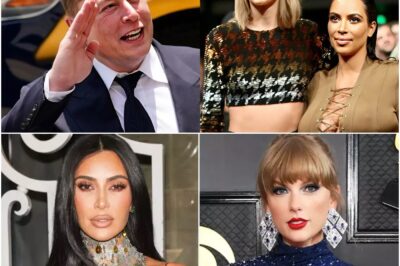 Taylor Swift verliert über Nacht 5 Millionen Follower, nachdem Elon Musk dazu aufgerufen hat, sie zu sperren und zu boykottieren; Die Kardashian-Familie verliert mehr als 3 Millionen Follower. (T)