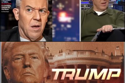 Greg Gutfeld: Hollywood can’t stand a reality TV star in the White House