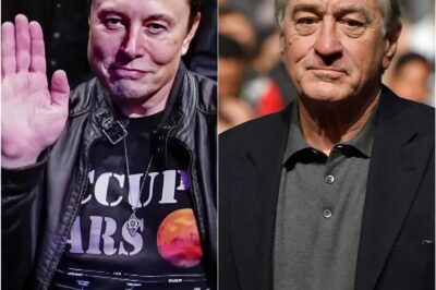 BREAKING NEWS: Elon Musk publicly clashes with Robert De Niro after he collaborates with The Views to insult Elon Musk live on air: “Go away, you weird awakened kid.”