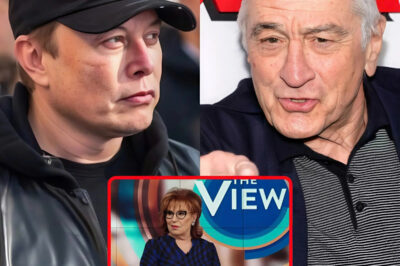 Robert De Niro defends Joy Behar and attacks Elon Musk on The View: He doesn’t deserve your trust.