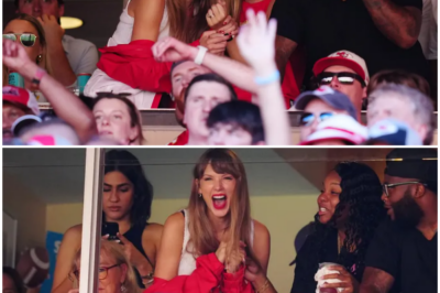 Every Moment the Internet Lost Its Mind Over Taylor Swift and Travis Kelce