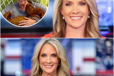 Dana Perino’s sudden disappearance from “America’s Newsroom” and “The Five” left fans extremely worried and the real reason behind her absence from Fox News confirmed all the rumors-DT