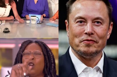 Elon Musk called for a boycott of The View, calling it “a meeting place for ignorant women.” Immediately after, the entire cast responded fiercely.