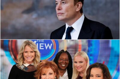 Elon Musk called for a boycott of The View, calling it “a meeting place for ignorant women.” Immediately after, the entire cast responded fiercely-DT