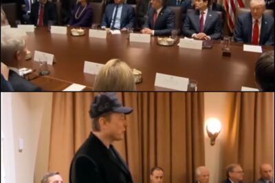 Elon Musk takes questions at Trump’s first Cabinet meeting: ‘This is just common sense’