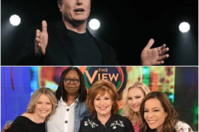 BREAKING: Elon Musk makes a bold decision: he launches a public campaign to shut down “The View” seeking support to end the controversial show once and for all.