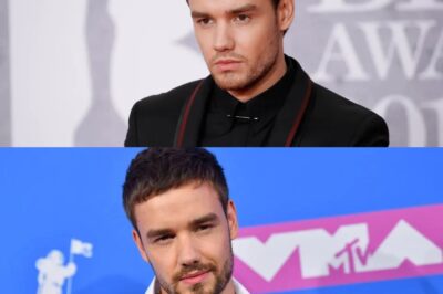 PAYNE ARREST Liam Payne’s ‘drug dealer’ waiter arrested after being accused of supplying 1D star with cocaine before tragic death