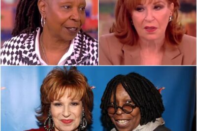 BREAKING: ABC Cuts Ties With Whoopi Goldberg and Joy Behar for Season 28 of The View, Citing ‘Ending Toxic Environment’, Their Reaction Is Sh0cking.. -DT