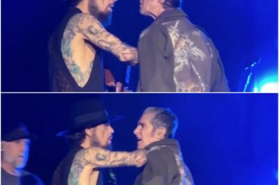 Jane’s Addiction star Perry Farrell breaks silence after onstage brawl with Dave Navarro that saw tour CANCELLED