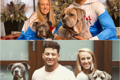 “Patrick Mahomes Rescues an Abandoned Puppy—Months Later, He Makes a Shocking Discovery!”