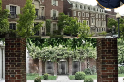 Inside Jeff Bezos’ Opulent $40 Million Mansion in Washington: A Glimpse of Billionaire Luxury