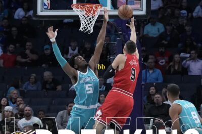 BREAKING: Teams that won’t cheat their way out of trading for Hornets’ young center