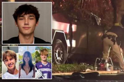 Drunk college students killed in Cybertruck crash were led to vehicle by friend — who heard screams as they died