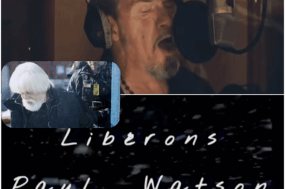 Extradition de Paul Watson : Francis Lalanne et Florent Pagny enregistrent une chanson de soutien pour le fondateur de l’ONG Sea Shepherd