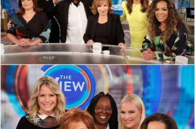 SHOCKING SHOWDOWN: Elon Musk Calls for National Boycott of The View, Labeling It “A Gathering of Ignorant Women” — Whoopi, Joy, and the Entire Cast UNLEASH FURY in Live-TV Response That Leaves Viewers Stunned!
