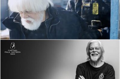 Extradition de Paul Watson : Francis Lalanne et Florent Pagny enregistrent une chanson de soutien pour le fondateur de l’ONG Sea Shepherd-TB
