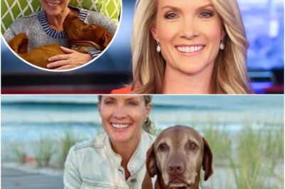 Dana Perino fans fear for Fox News anchor after absence from America’s Newsroom and The Five-DT