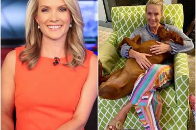 “‘Where Is Dana?’ Fox News Fans Spiral as Dana Perino Disappears Without Warning — Wild Theories Erupt Over Her Sudden Absence!” NQ
