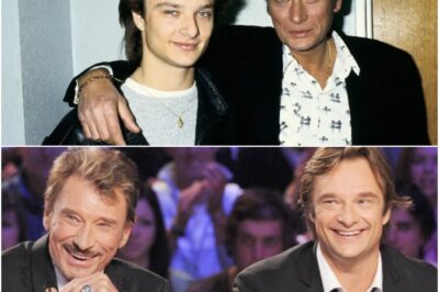 Johnny Hallyday : son avocat explique les véritables raisons du renoncement de David Hallyday à l’héritage