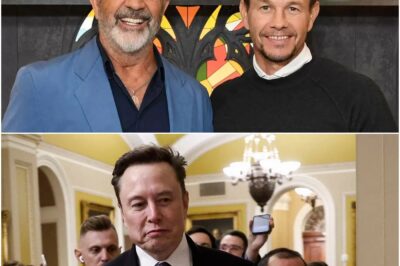 Mel Gibson And Mark Wahlberg Partner With Elon Musk And Invest Between $1 Billion And $3 Billion In A “non-woke” Film Studio Committed To Traditional Family Values.