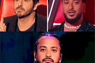 Après l’avoir rencontré aux Enfoirés, Patrick Fiori a fait une déclaration à propos de Slimane après l’échange en direct qui a suscité des spéculations extrêmement influentes : « Avant, je l’imaginais, mais maintenant, pour moi, il n’est ni plus ni moins que lui seul… »