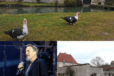 La superstar Florent Pagny a choqué la France en dépensant discrètement des millions d’euros pour acheter une magnifique villa au cœur de la Bourgogne ! D’anciennes villas, de vastes vignobles et des fêtes somptueuses sont sur le point d’avoir lieu, rendant le showbiz et les fans curieux de découvrir le mystère derrière cette puissante porte.