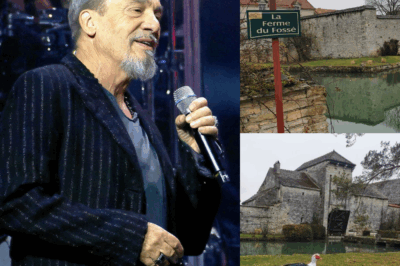 Florent Pagny s’offre un superbe manoir en Bourgogne