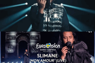 Phénomène inattendu à l’Eurovision 2024 : Slimane rend les gens “fous” lorsque sa chanson devient la chanson la plus écoutée depuis le début de la saison ! L’ambiance devient de plus en plus chaude chaque jour, les supporters espèrent que ce sera « l’atout » pour aider la France à faire une percée spectaculaire sur la scène internationale.