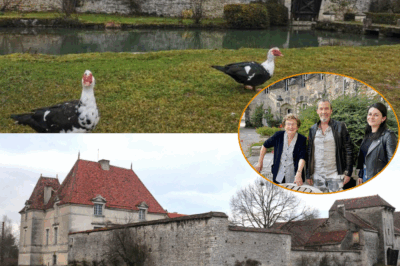 Florent Pagny s’offre un manoir hanté en Bourgogne : un secret médiéval dévoilé ? À 63 ans, la star de The Voice abandonne la Patagonie pour une forteresse du XIe siècle, La Ferme du Fossé, avec douves et pont-levis. Pourquoi ce retour aux racines ? Entre son combat contre le cancer et des travaux titanesques, Pagny cache-t-il un projet mystérieux avec Kad Merad ? Plongez dans les coulisses de cette acquisition qui fait jaser Échevannes !