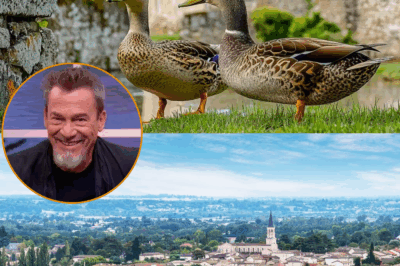 Florent Pagny s’offre une “maison forte” située dans la première destination entre Paris et Lyon, rénovée par le même architecte qu’une autre star