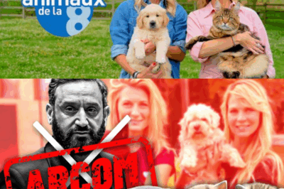 Incroyable rebondissement dans le monde de la télévision française : après l’arrêt brutal de « Les Animaux de la 8 » sur C8, une grande chaîne nationale décide de sauver l’émission emblématique ! Des millions de téléspectateurs choqués, des équipes en alerte, mais l’espoir renaît : un nouveau diffuseur, un nouveau format, une nouvelle heure de diffusion… Sandrine Arcizet et Élodie Ageron seraient déjà en discussions avancées. Quelles surprises nous réserve cette renaissance inattendue ? Pourquoi la chaîne a-t-elle vraiment arrêté l’émission ? Coup de théâtre, tensions en coulisses et rebondissements inédits : découvrez les dessous explosifs de ce sauvetage télévisuel inespéré !